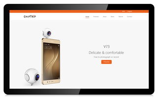 精品网站设计，品牌形象塑造首选科慧设计