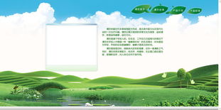 企业产品网站设计制作 打造高效转化的数字门面